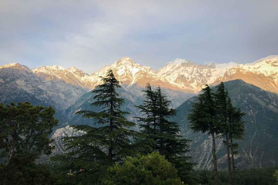 Shimla Manali Package 6 Days photo 3