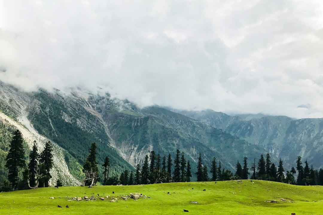 Kashmir Package 5Days photo 4