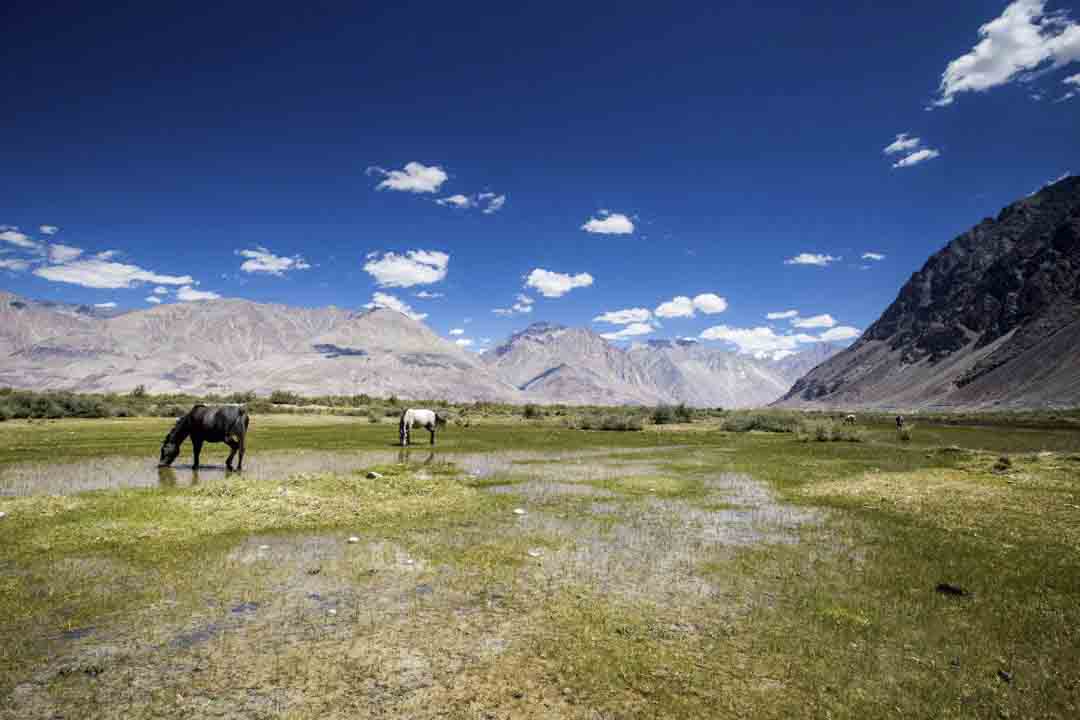 Srinagar Leh UmlingLa Manali Bike Trip photo 4