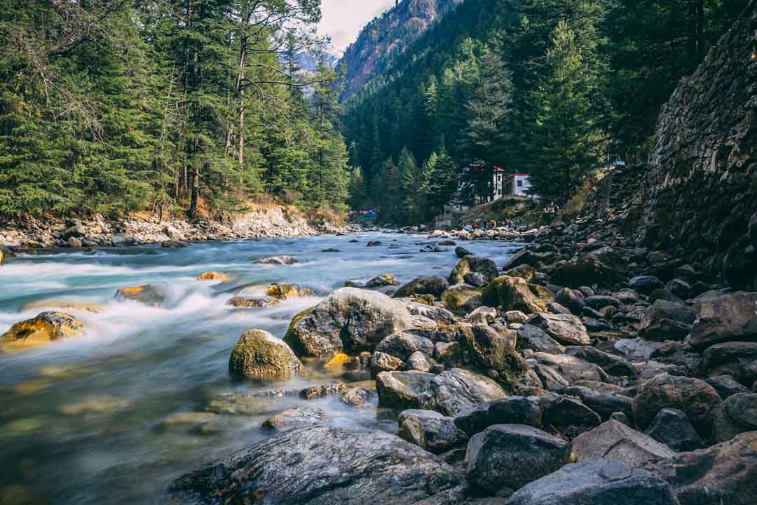 MANALI SHIMLA VOLVO PACKAGE photo 4