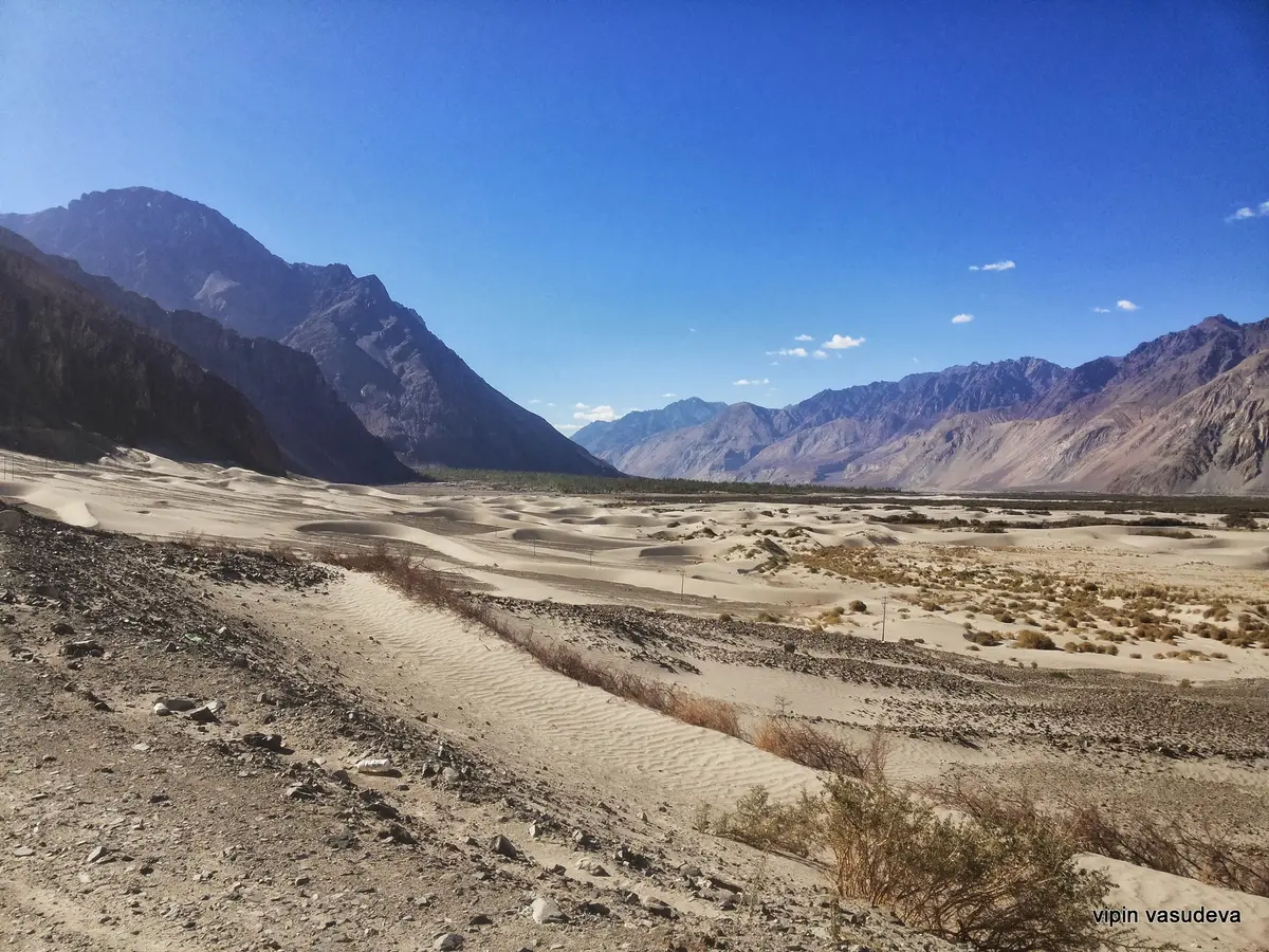 White sand dunes at Hunder in the Nubra Valley