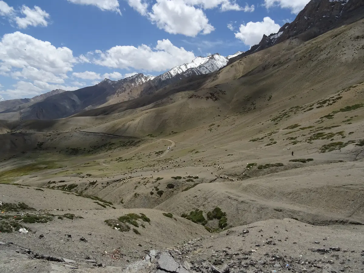 Mountain landscape with scattered shrubs between Kargil and Leh